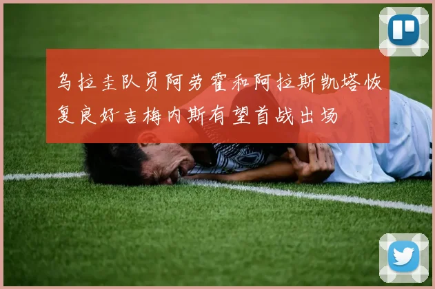 乌拉圭队员阿劳霍和阿拉斯凯塔恢复良好吉梅内斯有望首战出场