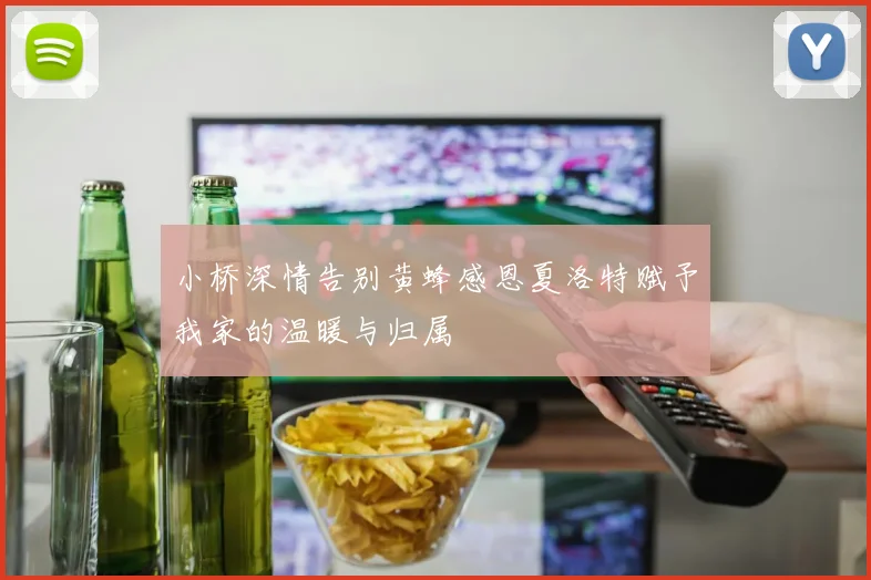 小桥深情告别黄蜂感恩夏洛特赋予我家的温暖与归属